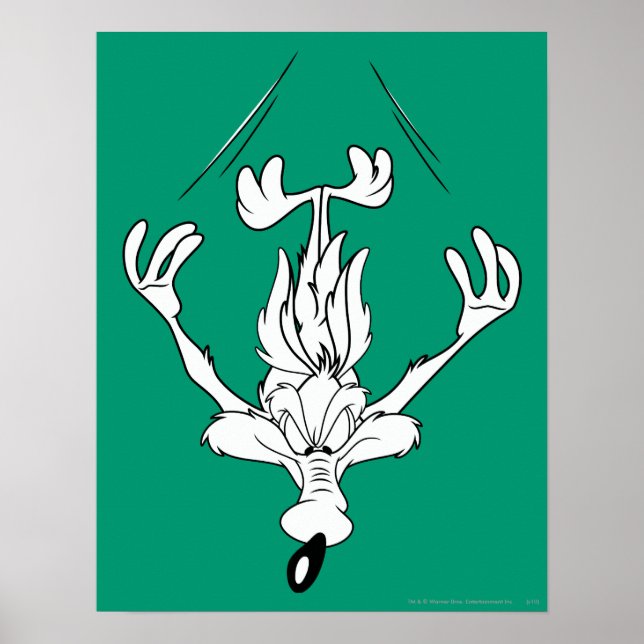 Poster Wile E. Coyote Dive Bomb (Frente)