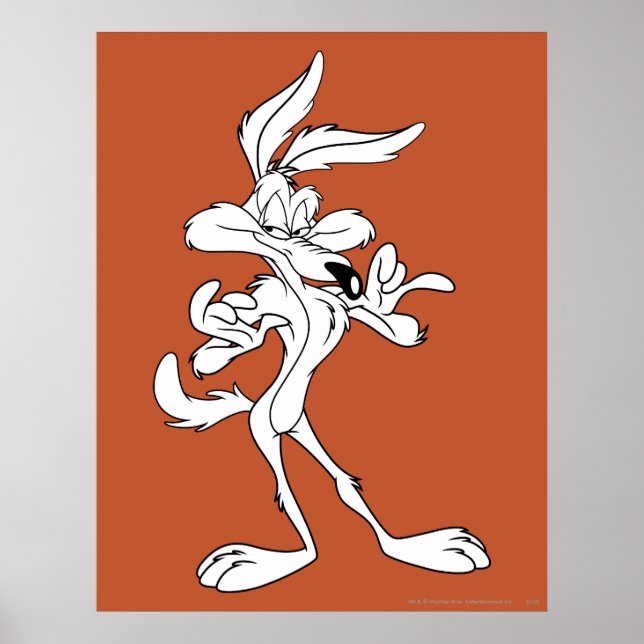 Poster Wile E. Coyote Parece Satisfeito (Frente)