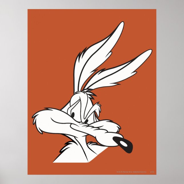 Poster Wile E. Coyote parece sorrateiro (Frente)