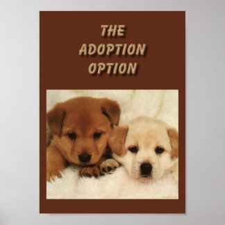 Póster Will adoption be your first option??