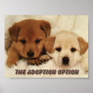 Poster Will you wait to adopt an animal?