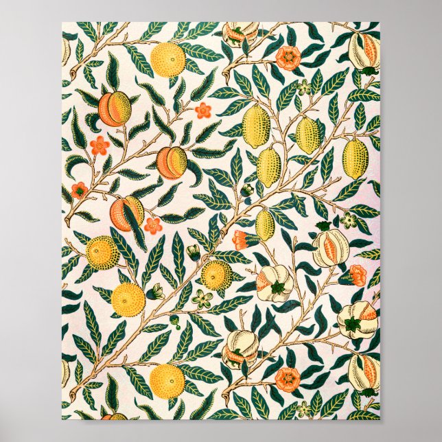 Poster William Morris Fruta Pomegranate White Ornament (Frente)