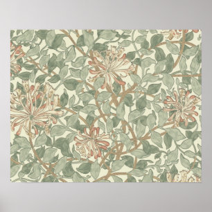 Poster William Morris Honeysuckle Flower Wallpaper
