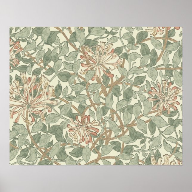 Poster William Morris Honeysuckle Flower Wallpaper (Frente)