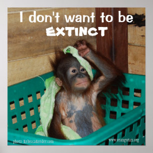 Poster Willife Conservation Pouty Baby