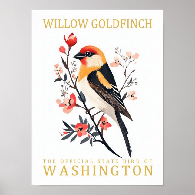 Poster Willow Goldfinch Bird, Viagem de Washington (Frente)