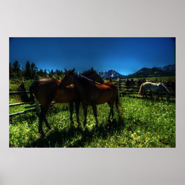 Póster Willy e Charger (Frente)