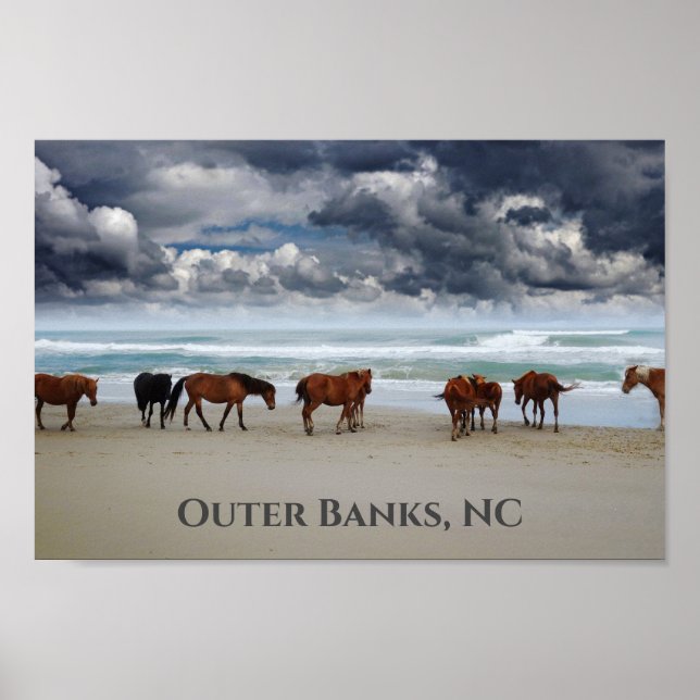 Poster Wils Horses Corolla Outer Banks NC (Frente)