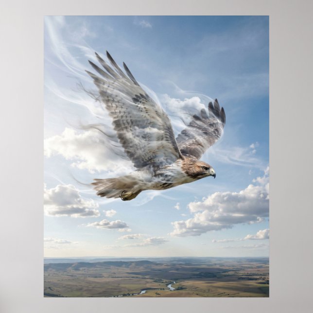 Poster Wind Hawk Open Horizon (Frente)