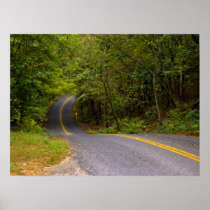 Póster Winding Road