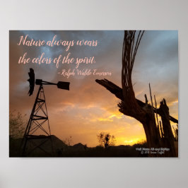 Poster Windmill Saguaro Cactus Skeleton Arizona Sunset