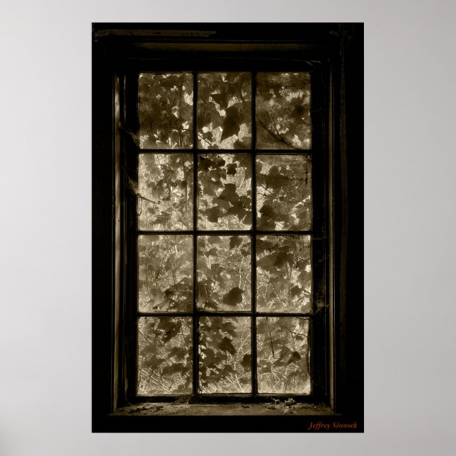 Poster Window Ivy Sepia, Jeffrey Sinnock (Frente)