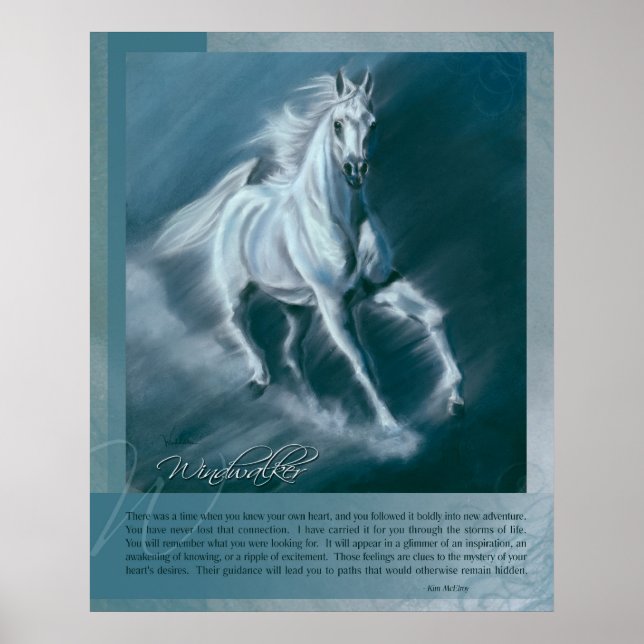 Póster Windwalker (Frente)