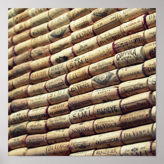 Poster WIne Lover (Frente)