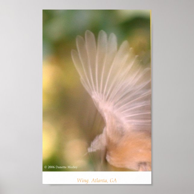 Póster Wing (Frente)