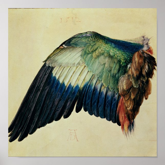 Póster Wing of a Blue Roller, 1512 (Frente)