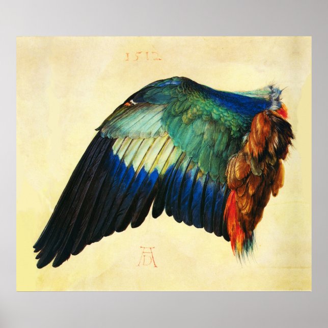 Poster WING OF AN EUROPEAN ROLLER Durer (Frente)