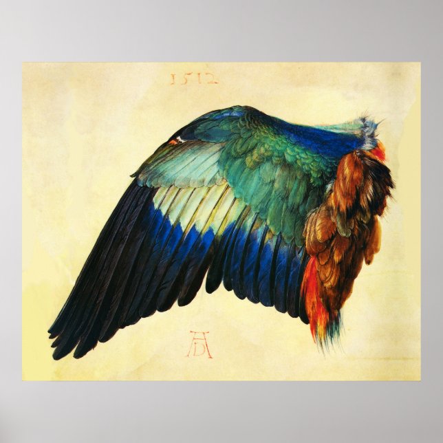 Poster WING OF AN EUROPEAN ROLLER Durer (Frente)
