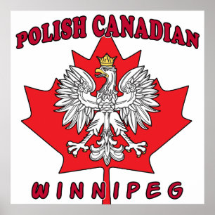 Póster Winnipeg Polonês Folha