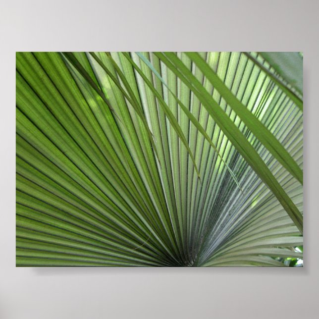 Póster "Winnow" (Frente)