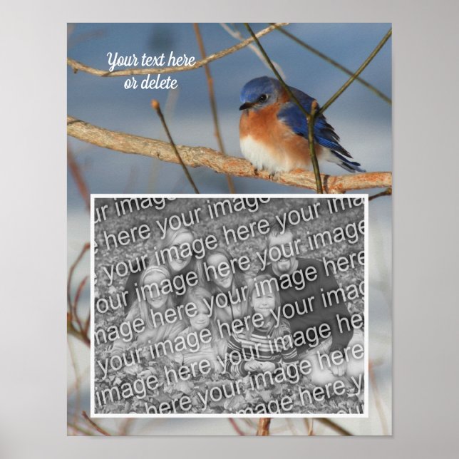 Poster Winter Bluebird Personalizado Crie sua própria fot (Frente)