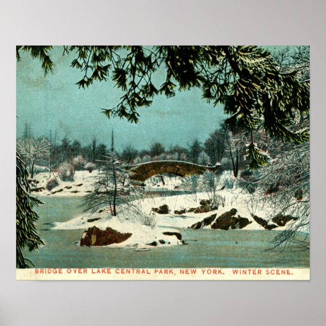 Póster Winter, Central Park, Nova Iorque Vintage (Frente)