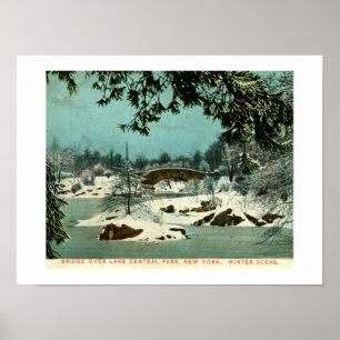 Poster Winter, Central Park, Nova Iorque Vintage