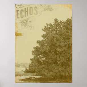 Póster Winter Echos