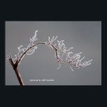 Poster Winter Frosted branch<br><div class="desc">Winter frosted branch</div>