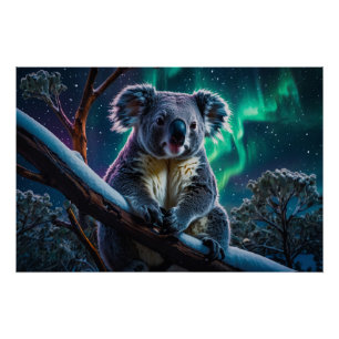 Póster Winter Koala e Southern Lights