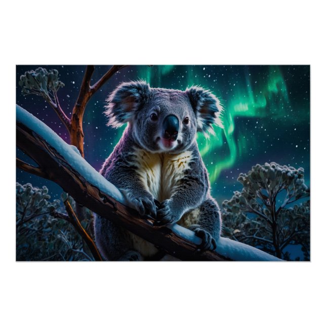 Póster Winter Koala e Southern Lights (Frente)