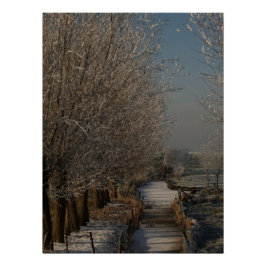 Póster Winter landscape