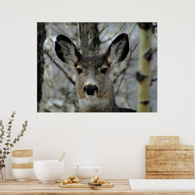 Poster Winter Mule Deer Close-up (Cozinha)
