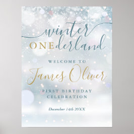 Poster Winter Onederland primeiro aniversario Blue Dourad
