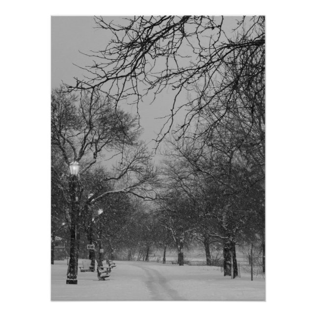 Póster Winter Path (Frente)