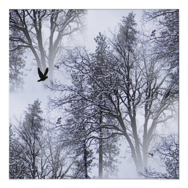 Póster Winter Raven... (Frente)