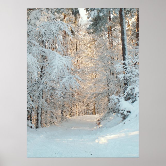 Póster Winter Road (Frente)