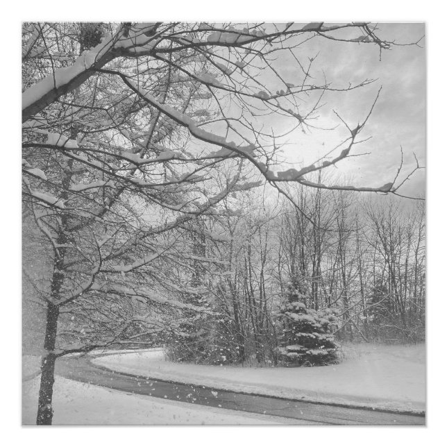 Póster Winter Silence  (Frente)