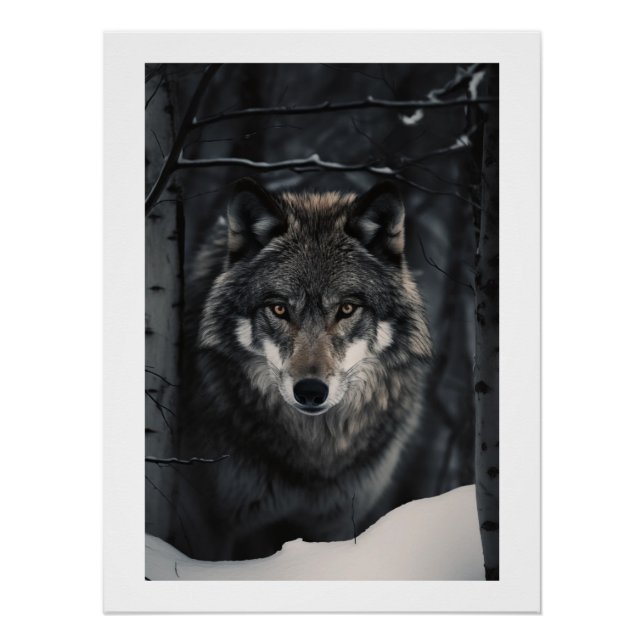 Póster Winter Wolf Gaze Poster (Frente)