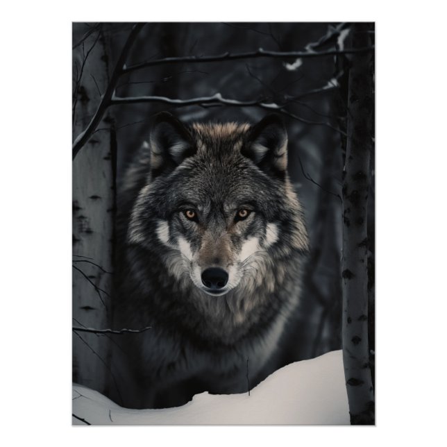 Póster Winter Wolf Gaze Poster (Frente)