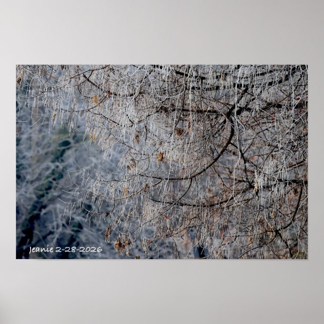 Poster Winter wonderland (Frente)