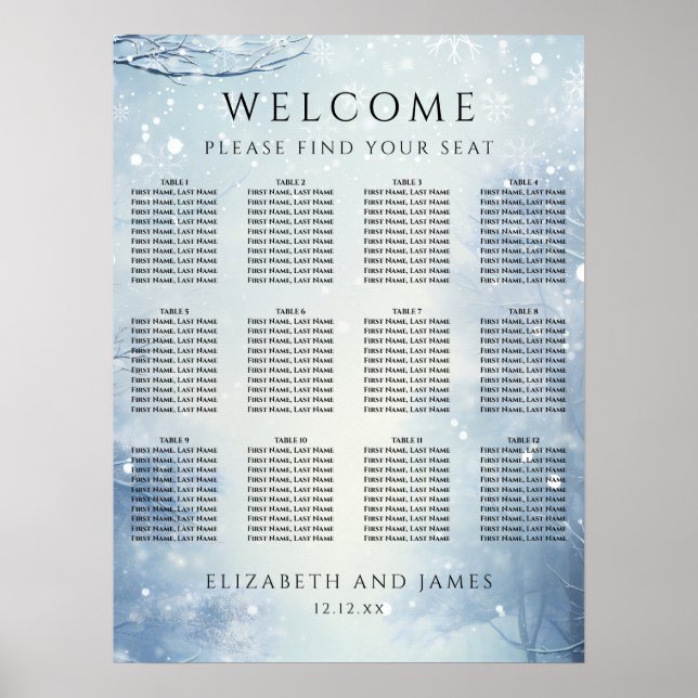 Poster Winter Wonderland Forest Wedding Seating Chart (Frente)