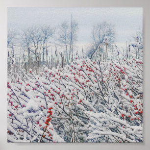 Poster winterberry e cattails