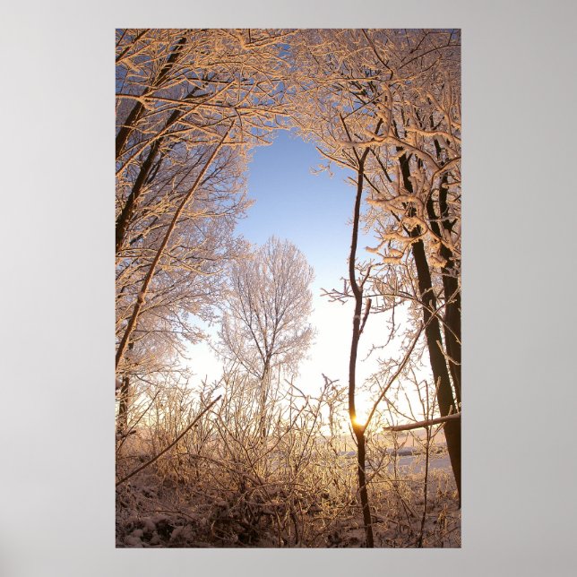 Póster Wintergate (Frente)