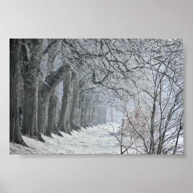 Poster Winters Morning (Frente)