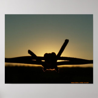 Póster Wire Wasp Ocidental