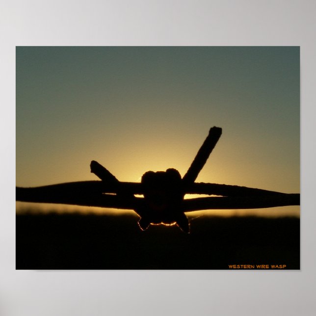 Póster Wire Wasp Ocidental (Frente)