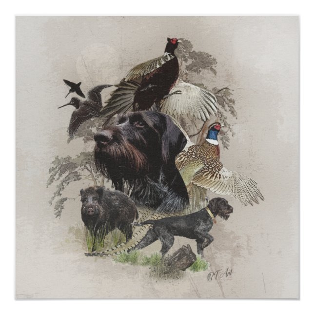 Póster Wirehaired Pointer, Países Continental (Frente)