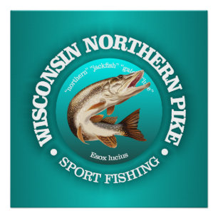 Póster Wisconsin Pike Fish