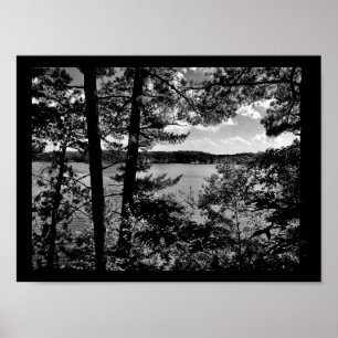 Póster Wisconsin River View